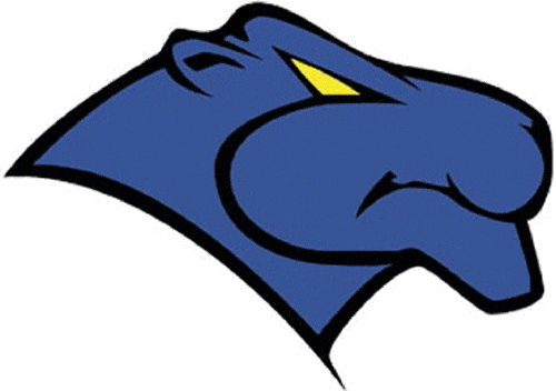 Georgia State Panthers 1997-2001 Primary Logo diy iron on heat transfer